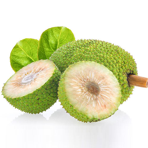 面包果