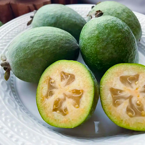 菲油果