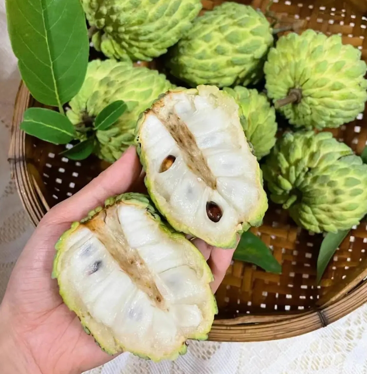 蜜释迦