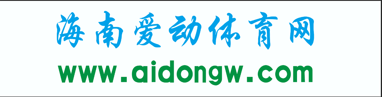 海南爱动体育网